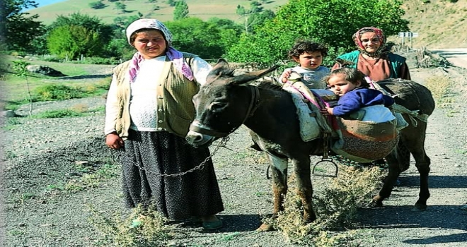 Yolun Üzerindeki Hayat