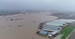 Hırsızlar sebep oldu: Binlerce dönüm ekili alan ve 2 bin boğa sular altında kaldı