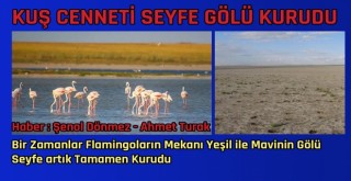 SEYFE GÖLÜ TAMAMEN KURUDU